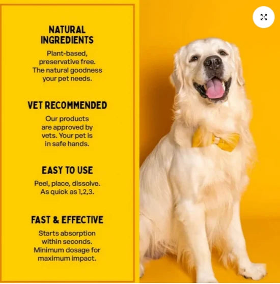 Furlicks Skin & Coat Oral Supplement for Dogs & Cats ( pack of 20 )